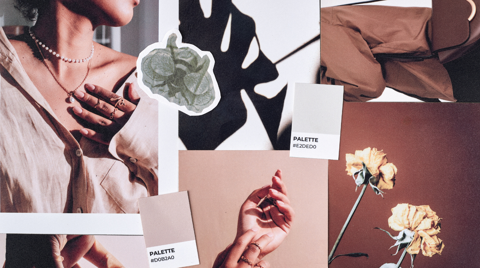 Lookbooks & Campaigns